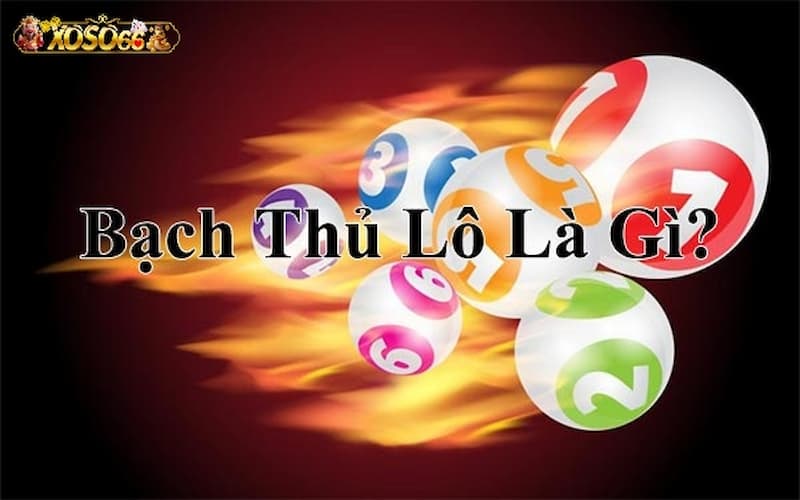 Giới thiệu bạch thủ lô là gì?