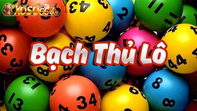 Cách nuôi bạch thủ lô là gì?